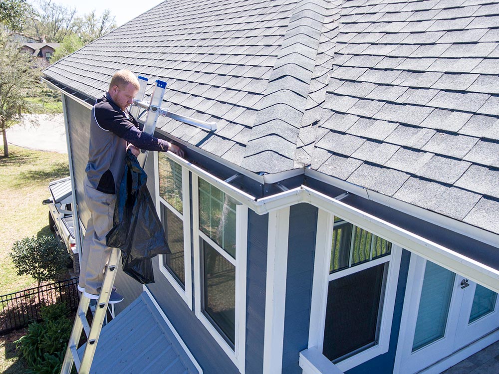 Gutter Cleaning