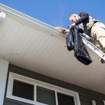 Gutter Cleaning