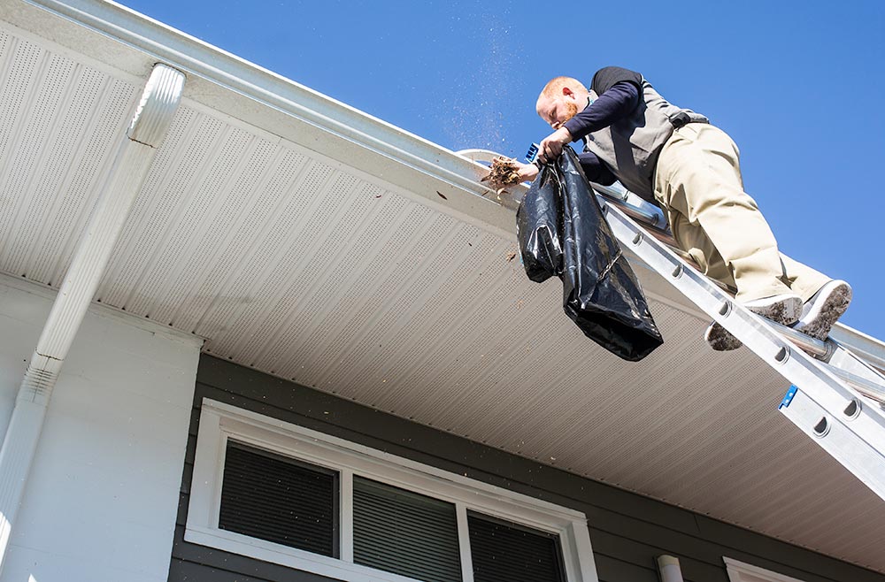 Gutter Cleaning