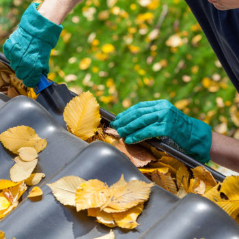 Gutter Cleaning