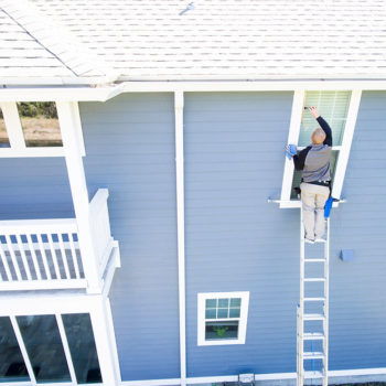 Second Floor Window Washing